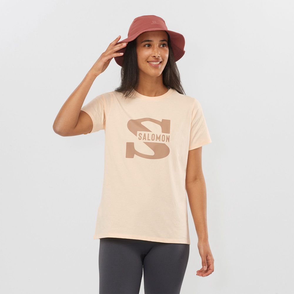 SALOMON OUTLIFE BIG LOGO Philippines - Women's Tee Shirts - Beige | 048576-NDK